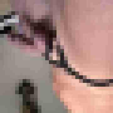 Mogly59
