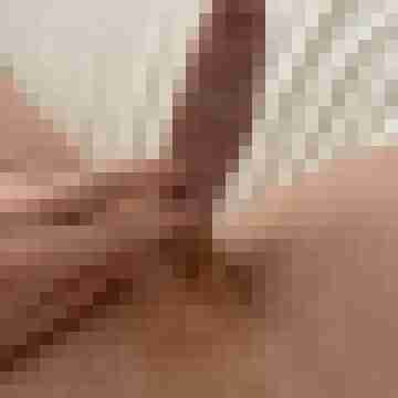 Neugieriginmz