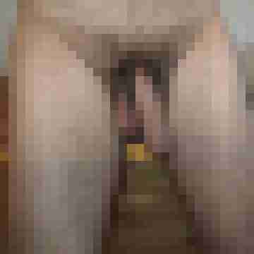 buschiMuschi_pralleEier