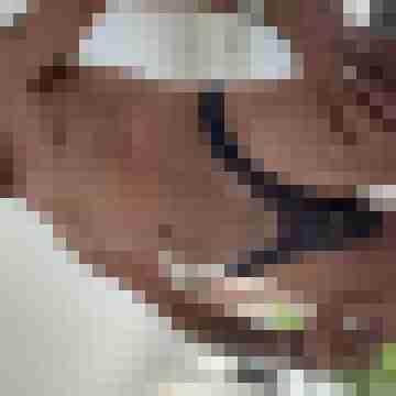 Mogly59