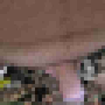 Steffen_76