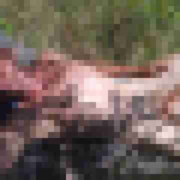 Nice_Squirt
