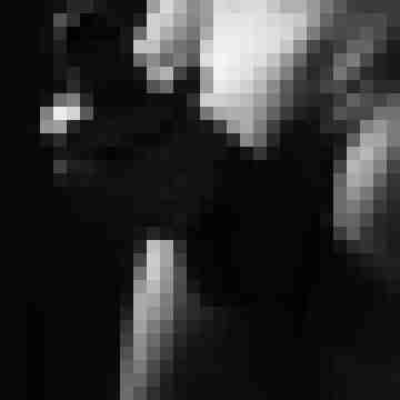PeterFoxx