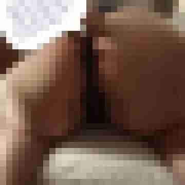 hornyxsar