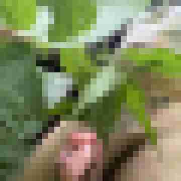 eS01vHU