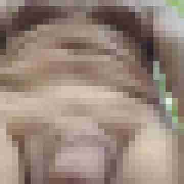 Basty055