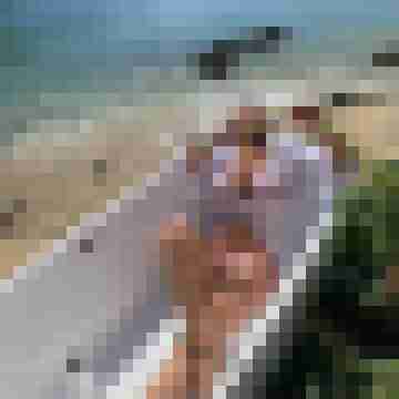 AllgaeuFreiwild