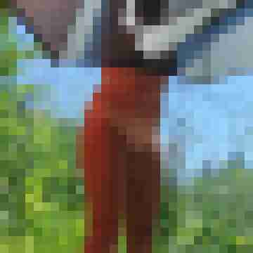 CoupleElli_Rob