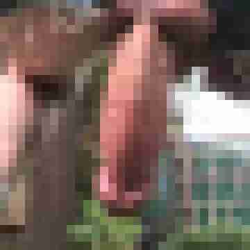 Paulbig