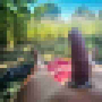 BI_my_day