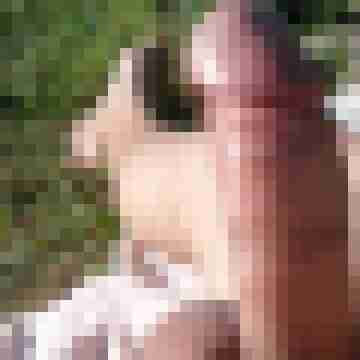 sonnenanbeter1