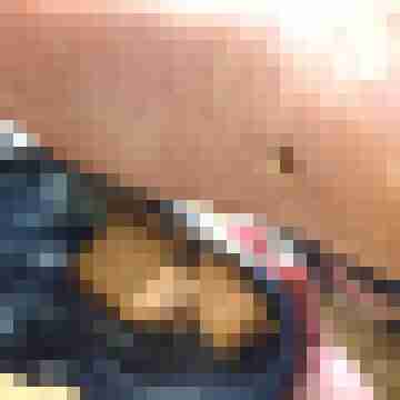 geiler_tom
