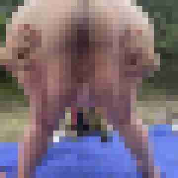 Lackboy