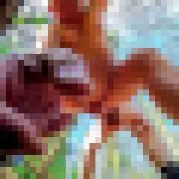 Hannes6326