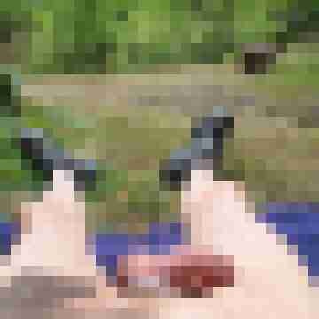 Erotikman2