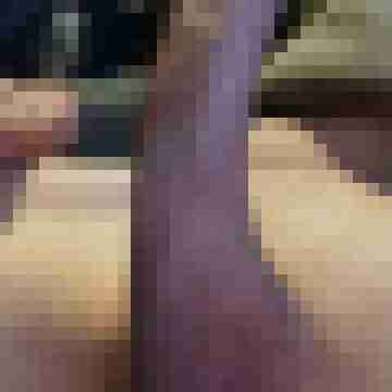Andyxy22