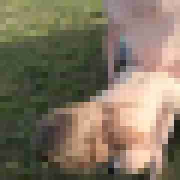 mgn028