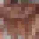 Baecker07