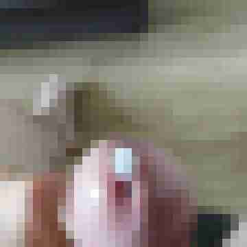 sternschunppe