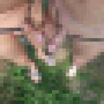 pss_pic