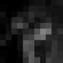 Phorus