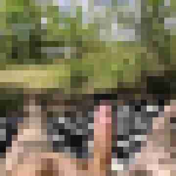 nurso84