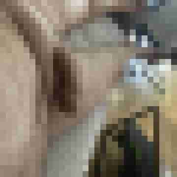 wampe01