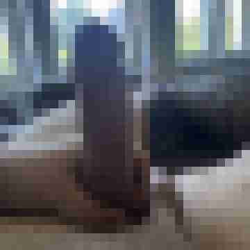 trksh_bull
