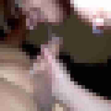 picturefreak