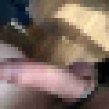 Rexi270
