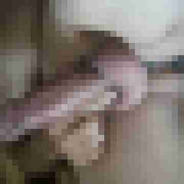 Baldrian55