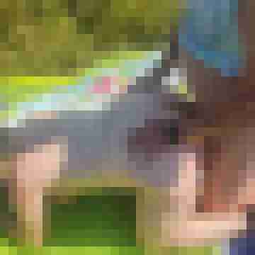 KGP-LUST-TRUPP
