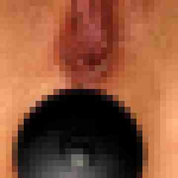 ElitePleasurePair