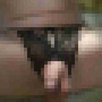 Wixxxkumpe1