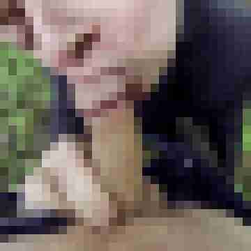 Hannes6326
