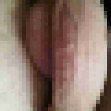 Fickbock2
