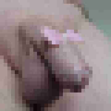bigeil68