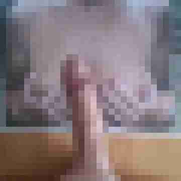 Stier73