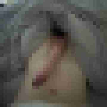 Geilersxhwanz