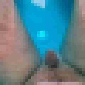 pinsel60