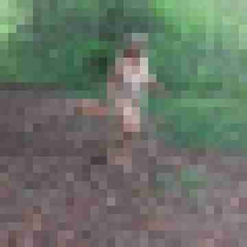Letsy4u2c