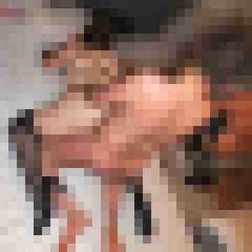 Lustduo59