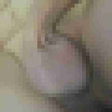 Nili24