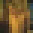 xlbob29