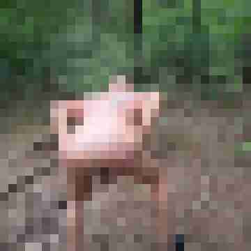 Nacktdarsteller