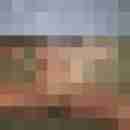 saufotze