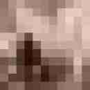 Dialon-69