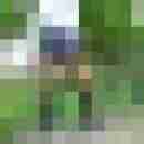 Nylonboy57