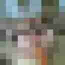 giwo60
