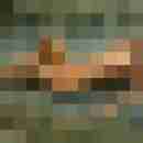 Phorus